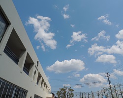 hagaki2