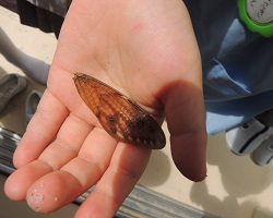 ２０２２．７．２１ (2)