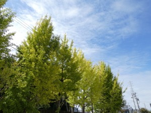 秋の訪れ‥すぐそこに