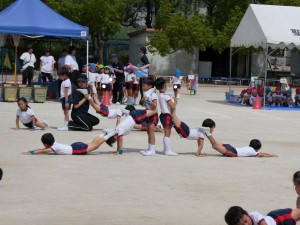ブログ７