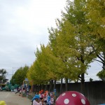 明日はカタリナ祭♪