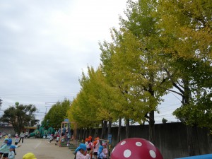 明日はカタリナ祭♪