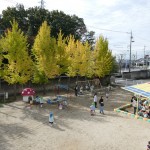 １１月の導入保育をしました！