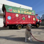 動物たちがやってきた！