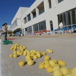 おには～そと！ふくは～うち！！